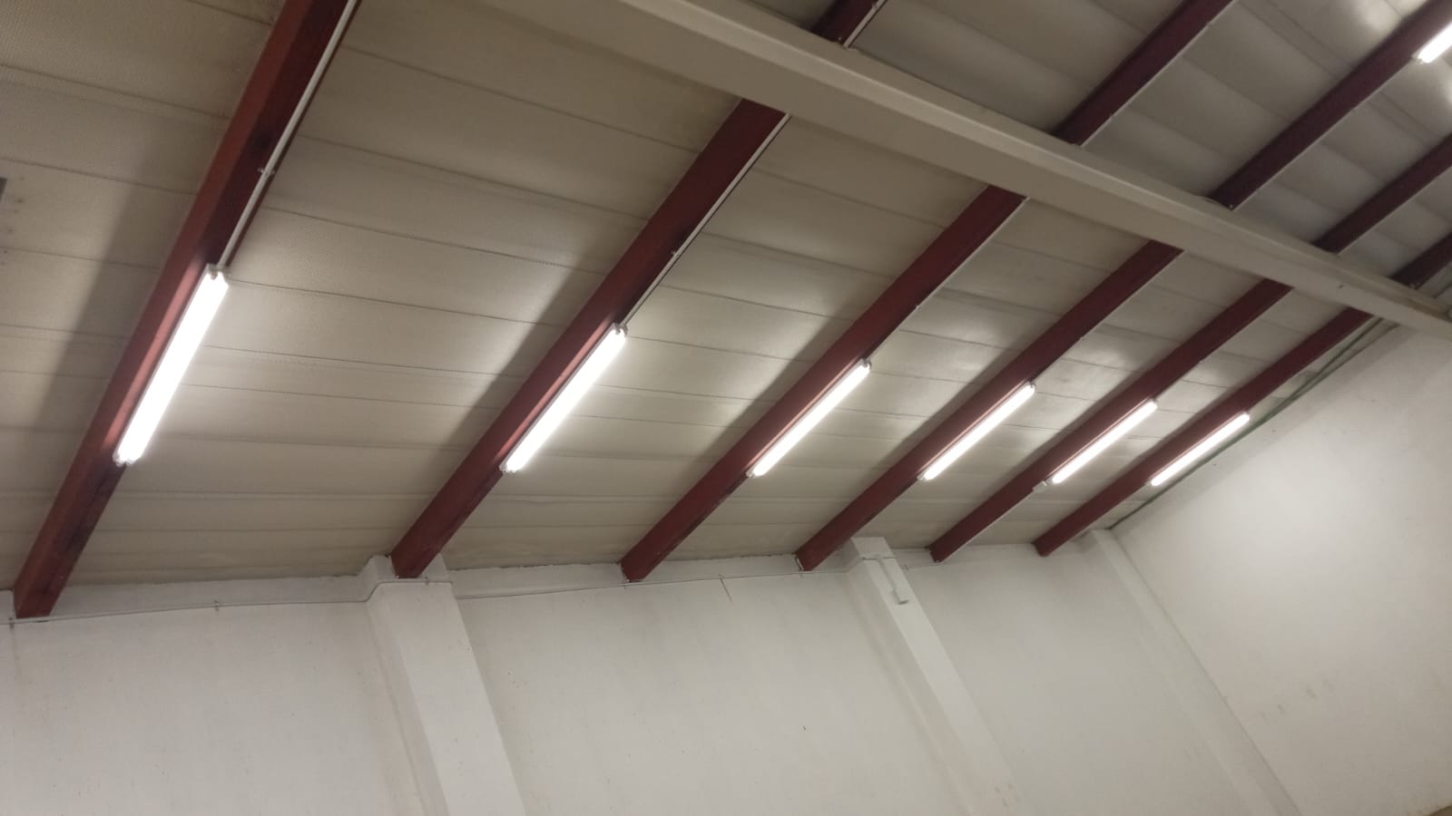 WhatsApp Image 2026-02-04 at 15.03.54